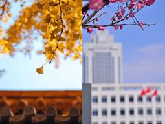 -山东大学(千佛山校区)