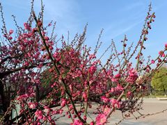 -徐州中汇国际会议中心