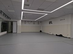 -EFL巴西柔术·综合格斗·泰拳·少儿体能训练(虹桥德必馆)