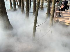 -东湖落雁景区