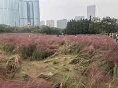 -艾溪湖湿地公园