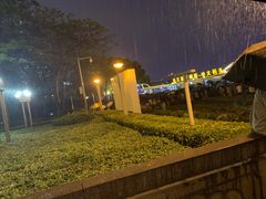 -珠江夜游省总码头