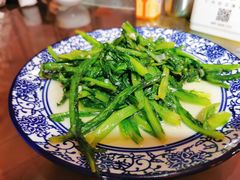 蒜茸油麦菜-范记靖远羊羔肉(博物馆店)