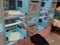 -FAELING PETS美天灵宠物(合生汇店)
