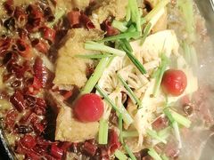 -老板恋上鱼(振华商厦店)