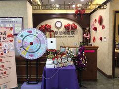 -宠爱国际动物医院· 猫科· 外科·中兽医(长白店)