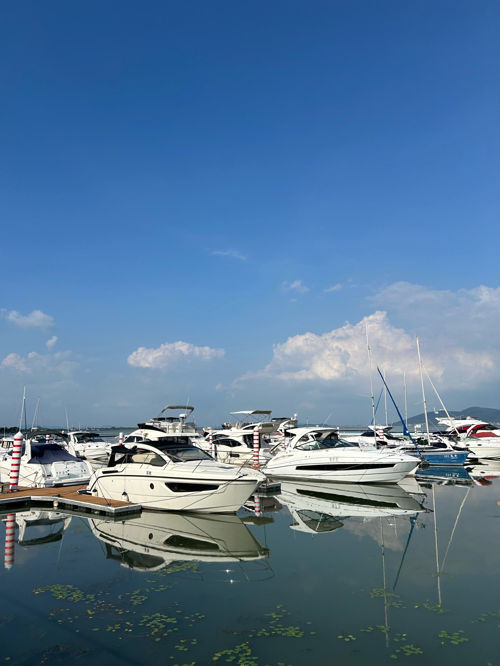 屋顶的风景线太治愈了