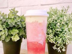 -喜茶(上海打浦桥日月光gelato lab+店)