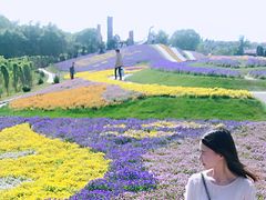 -南通洲际绿博园