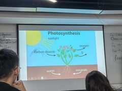 -新东方成人英语学习考试·口语·商务(延安路校区)