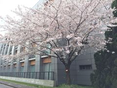 -中国浦东干部学院