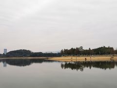 -松山湖南湖湾露营营地