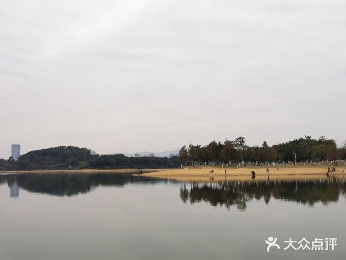 松山湖南湖湾露营营地图片