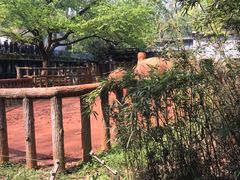 -杭州动物园