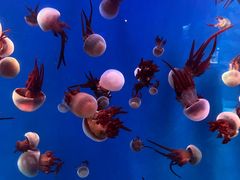 -石林冰雪海洋世界