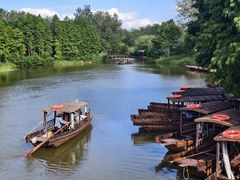 -溱湖国家湿地公园