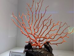 -绮丽珊瑚博物馆(台东店)