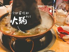 -月圆火锅(宁海东路二店)