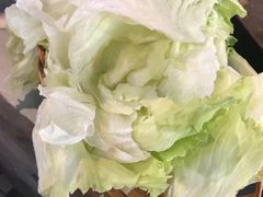 圆生菜-姥家大锅台水库渔家