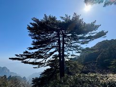 -黄山风景区