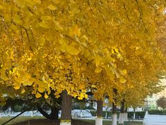 -锦江富园大酒店-游泳馆