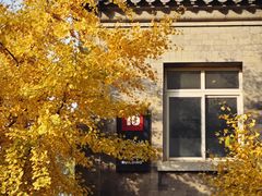 -中央民族大学