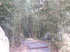 -紫竹院公园冰场