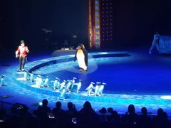 -珠海横琴长隆《卡卡虎奇遇记》