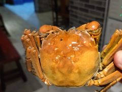 -银珠渔港·海鲜砂锅粥