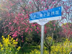 -南汇桃花村
