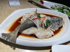 清蒸鲈鱼-铜锣湾·有麝自然香(重庆新天地店)