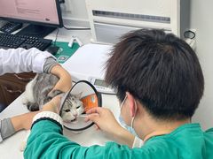 -心仪动物医院·牙专科·肿瘤·心脏科(西客站院)