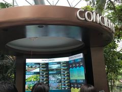 -樟宜机场免税店
