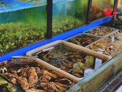 水产区-老东镇啤酒屋海鲜加工·蒸汽海鲜·海鲜烧烤(台东店)