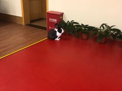 -静安区少年儿童图书馆(康定东路)