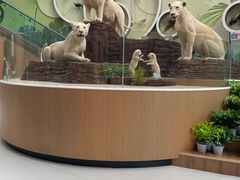 -陕西自然博物馆