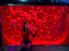 -沈阳海洋探索中心