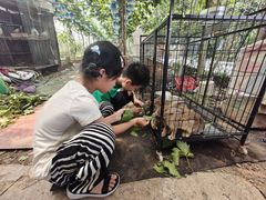 -马陆小张葡萄园农家乐