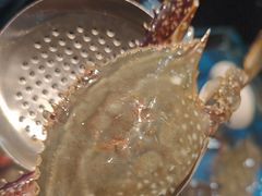-尚宴牛特鲜自助(太原街万达店)