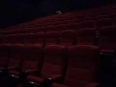 -万达影城(IMAX激光铁西万达广场店)