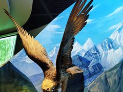 -陕西自然博物馆