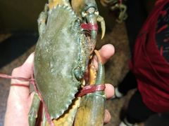 -柳记海鲜坊·蒸汽海鲜·福州菜·香辣蟹(芳群园店)