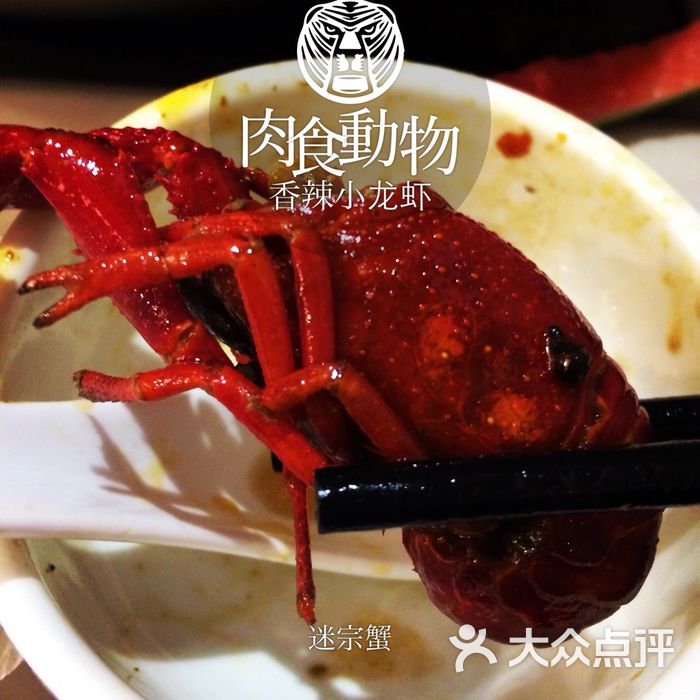 快乐七欣天qxt迷宗蟹