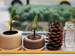 -Manner Coffee(大宁国际商业广场店)