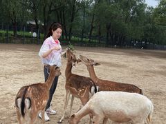 -北京麋鹿生态实验中心