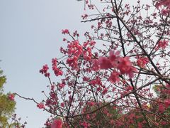 -广州市白云山风景名胜区