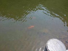 龙潭峡景区-龙潭大峡谷