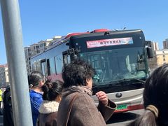 -桃花堤公园