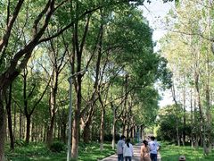 -昆山城市生态森林公园