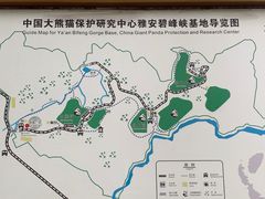 -中国大熊猫保护研究中心雅安碧峰峡基地